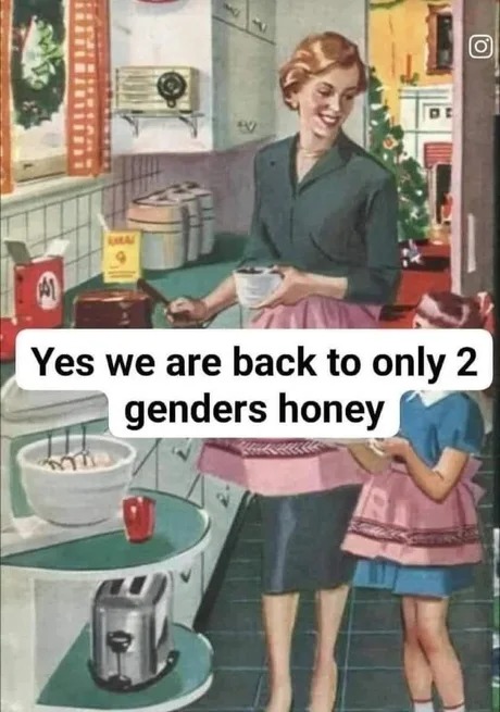 2 genders meme