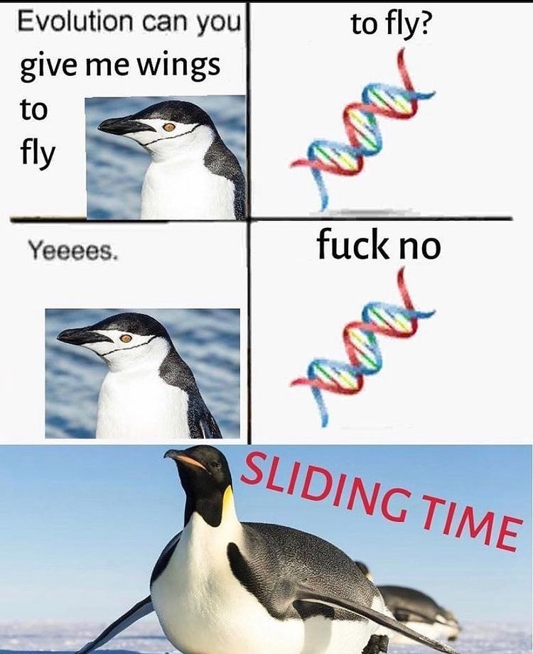 sliding time - meme