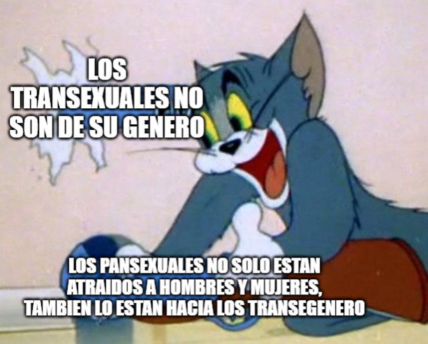 Para el que no entiende: Si las mujeres trans son mujeres, una persona bisexual se debería sentir atraída hacia "ellas" sin ser "pansexual". - meme