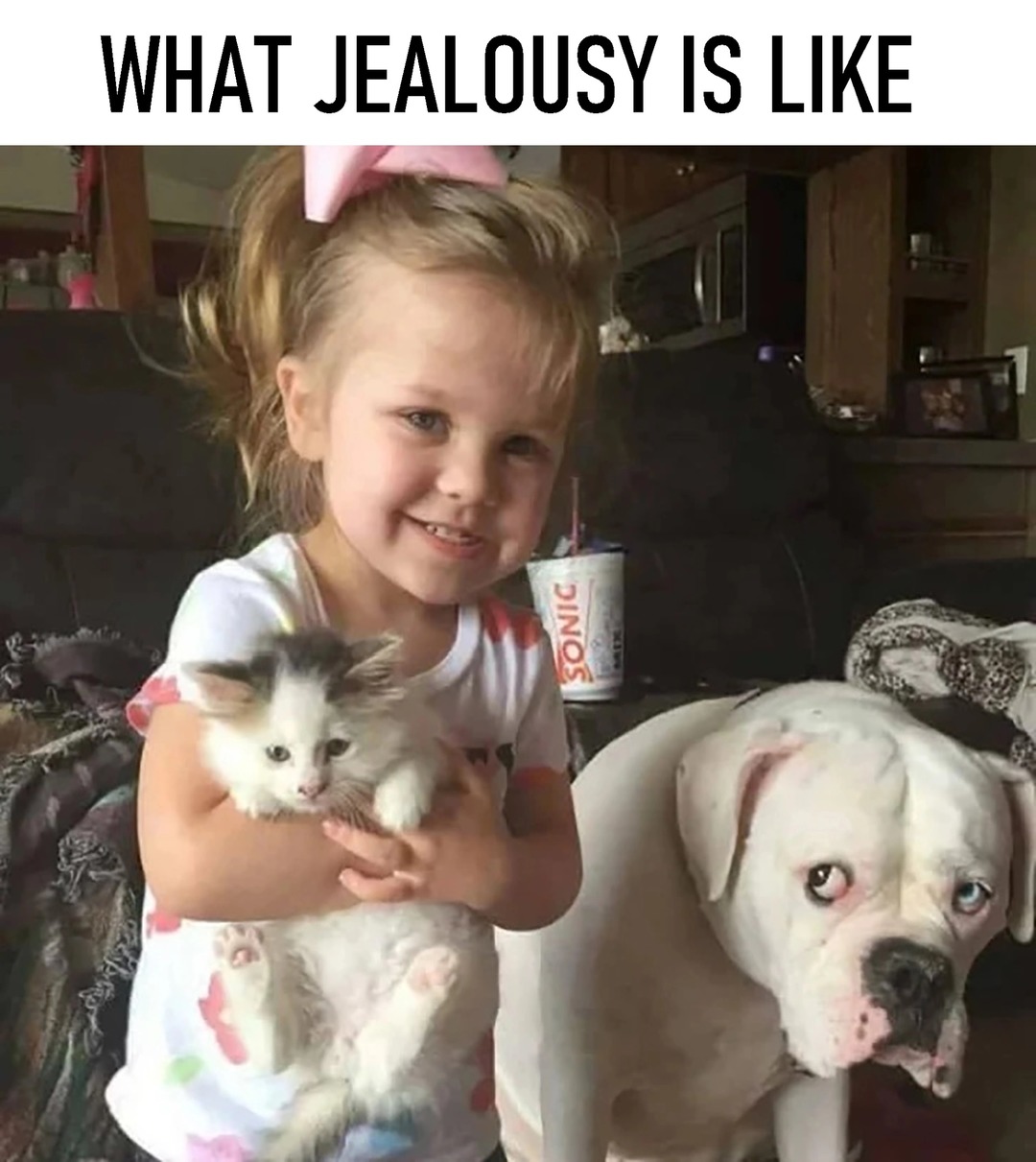 The best Jealousy memes :) Memedroid