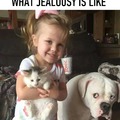 If jealousy had a face