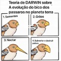 Darwin