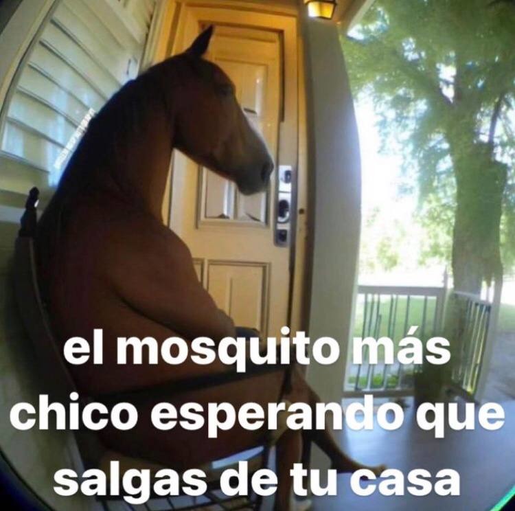 Meme de mosquitos gigantes