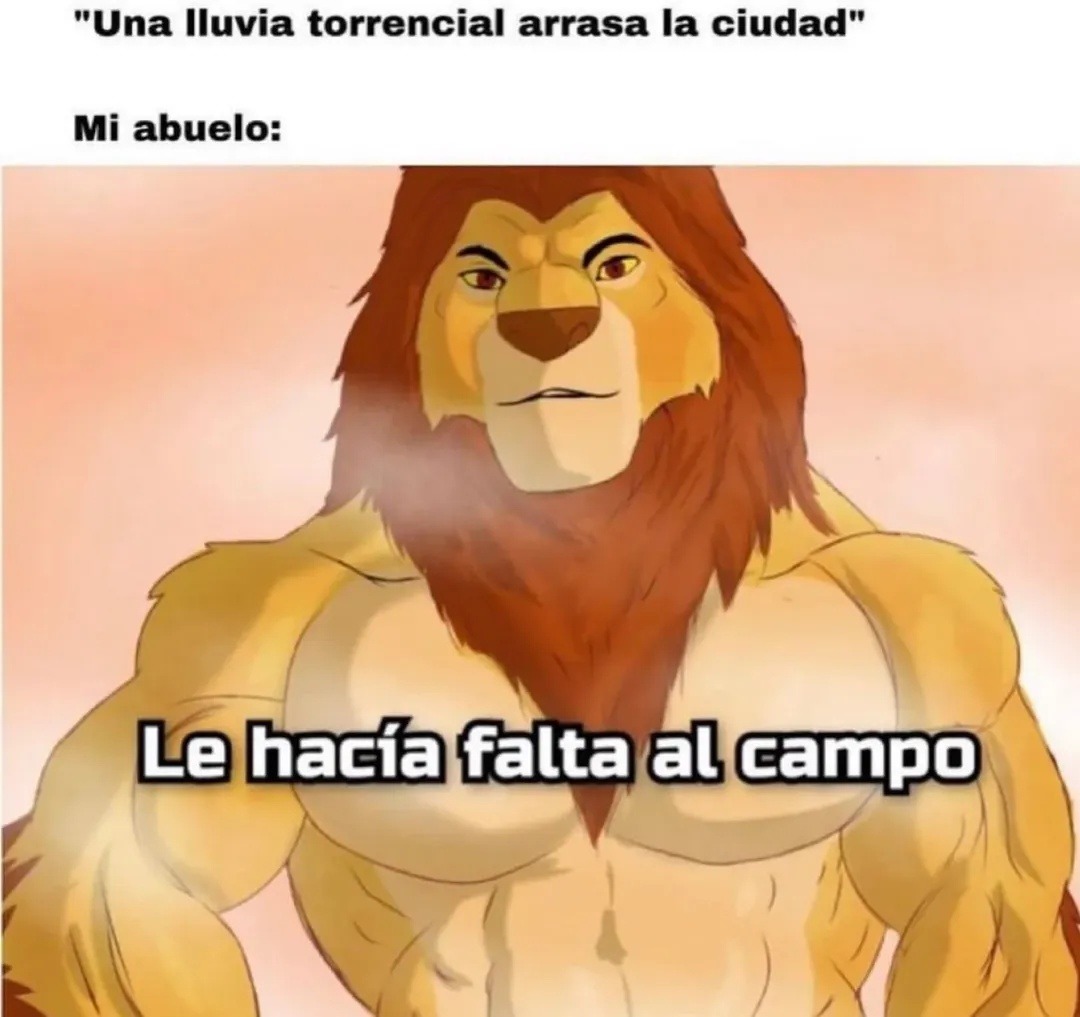 Lluvia arrasando la ciudad y mi abuelo pidiendo que riegue el campo - meme