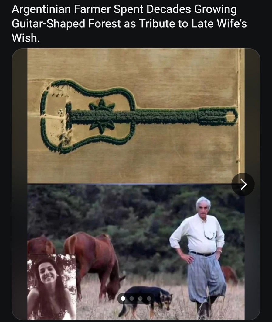 He grew a forest shaped like a guitar for love - meme