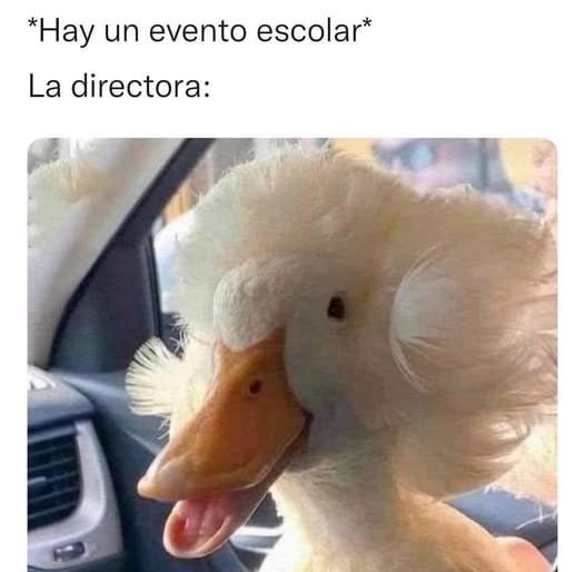 Evento escolar random y la directora ya está nerviosa - meme