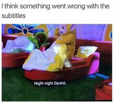 Night night, Dipshit - meme