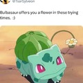 Bulbasaur offers you a flower