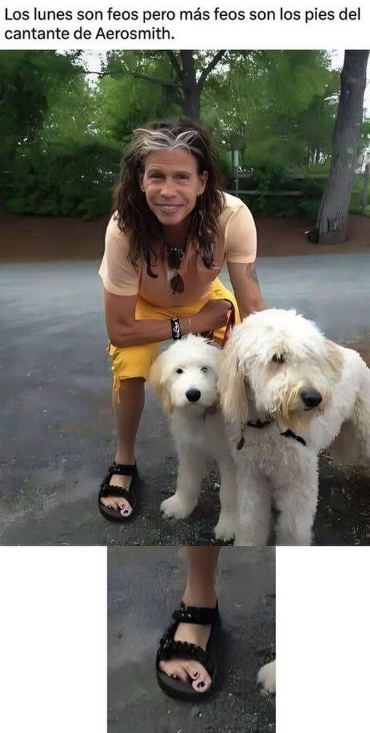 Los lunes son feos, pero los pies de Steven Tyler... - meme