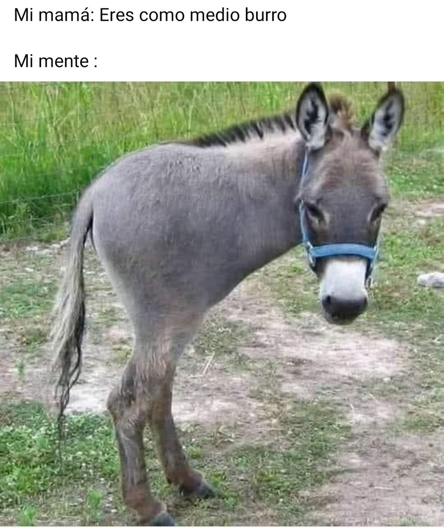 Fuutdyaaerx - meme