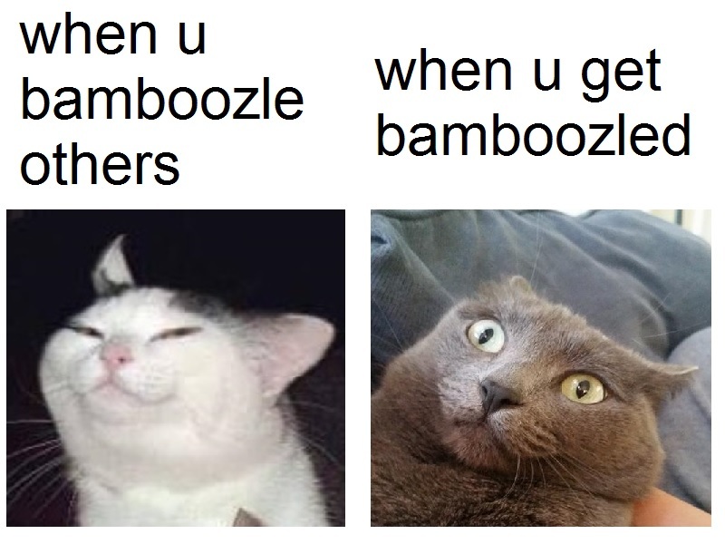 Plz don't bamboozle me - meme