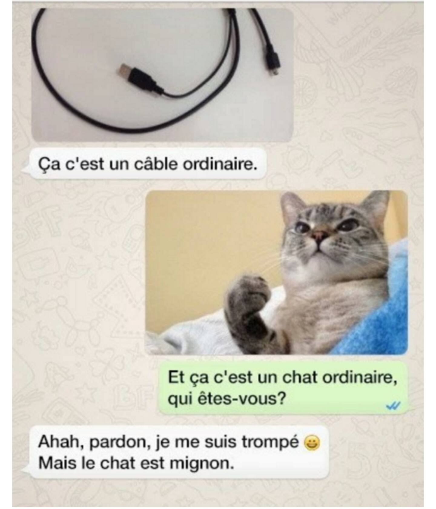 Lé chat - meme