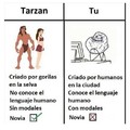 Tarzan vs tu