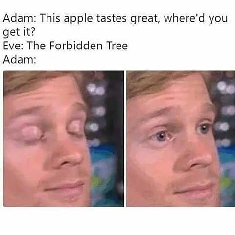 Adam didn't  know - meme