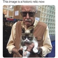 RIP Stan Lee and Grumpy Cat