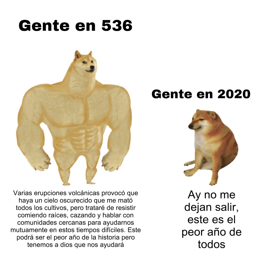 Decir que el 2020 fue el peor año de la historia es de gente muy cómoda la verdad - meme
