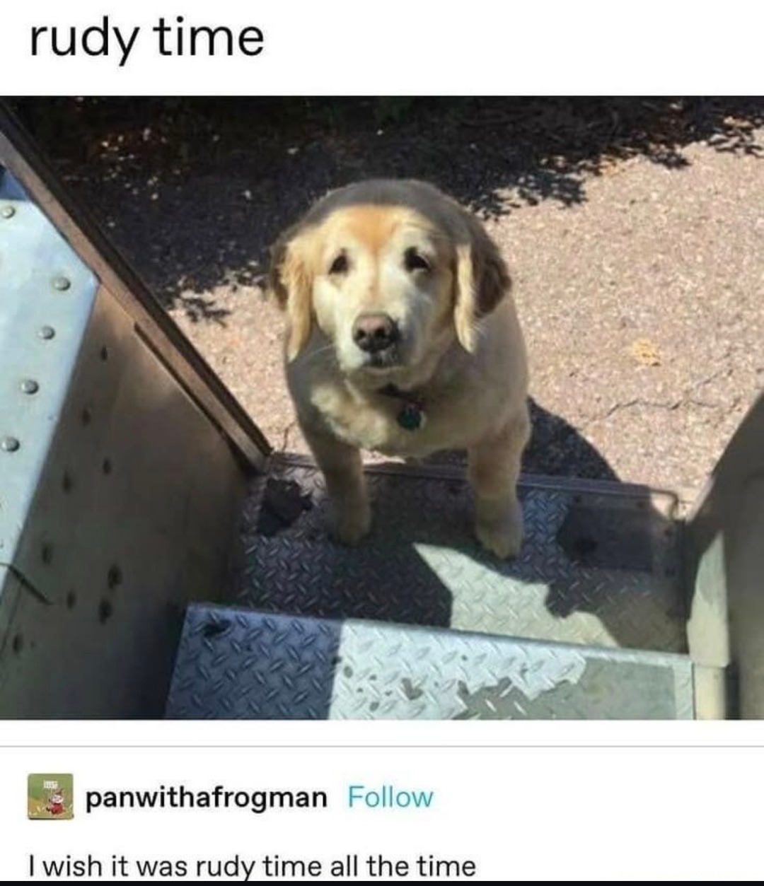 I need more Rudy time in my life too - meme