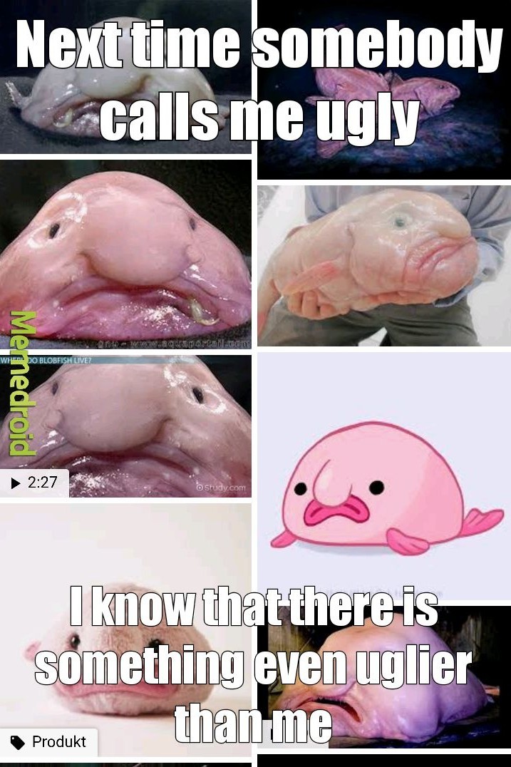 Ugly blobfish - meme