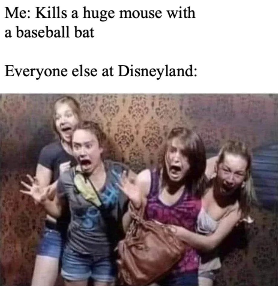 Kill that rat - meme