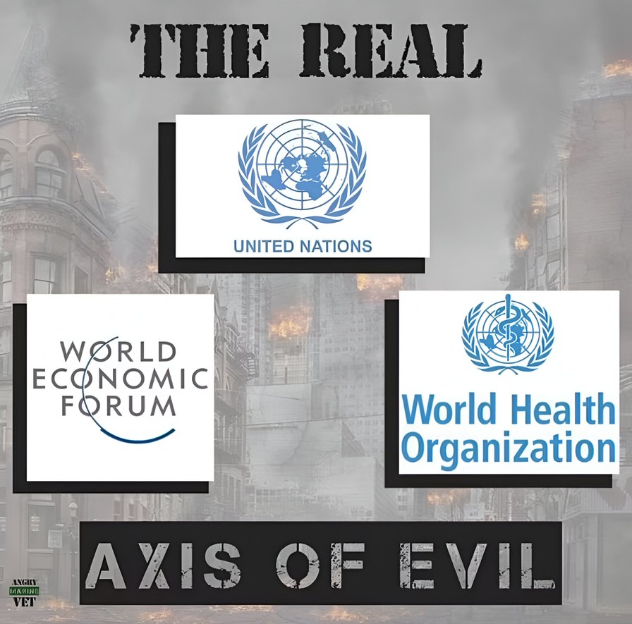 The real axis of evil - meme