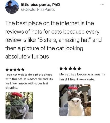 Amazing hats for cats - meme