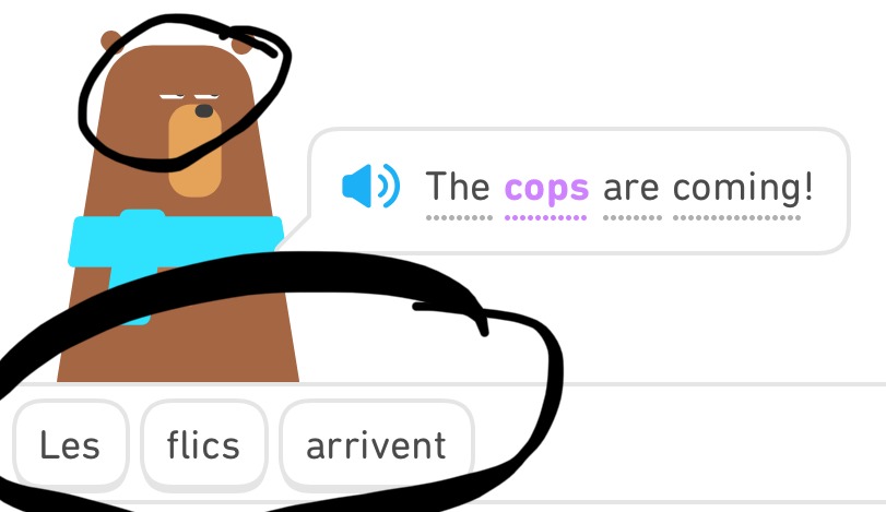 Même Duolingo sérieux - meme