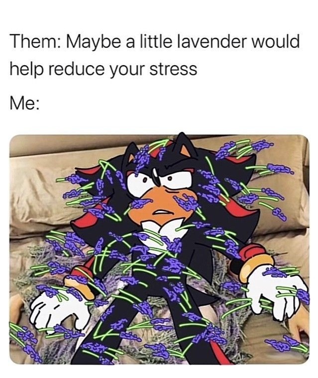 Go away stress - meme