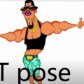 T pose
