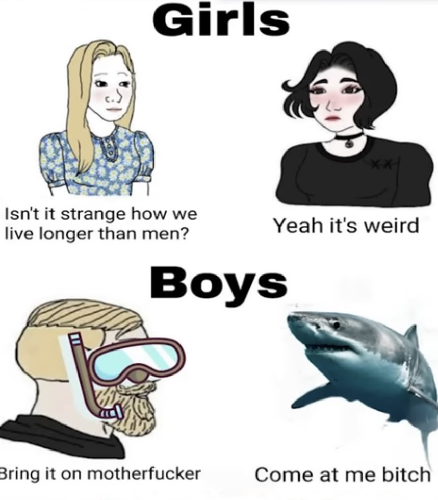 Boys versus girls - meme