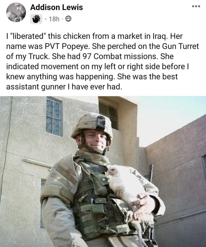 Chicken gunner - meme
