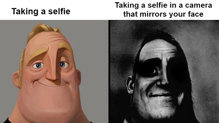 taking a selfie - meme