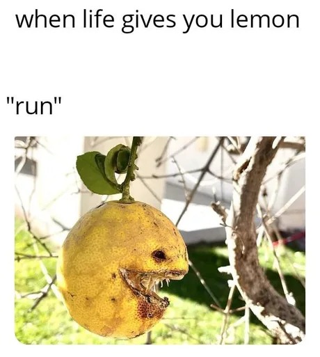 when life gives you lemon - meme