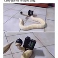 commented item thumbnail