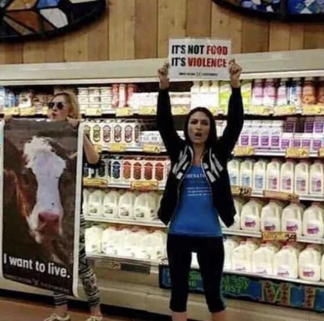 Depuis quand tu tues une vache pour avoir du lait - meme
