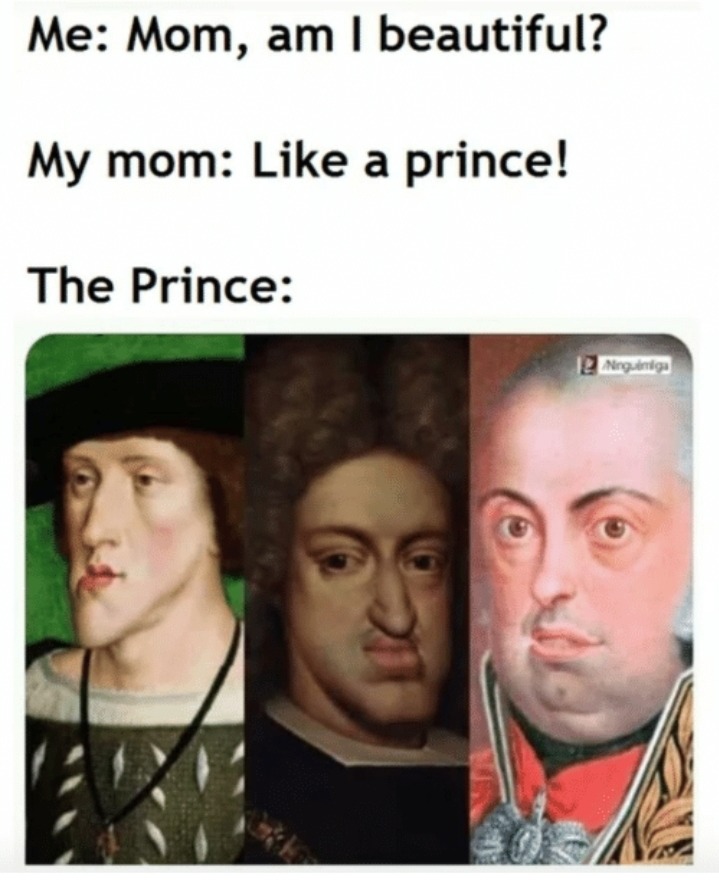 I love History memes