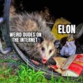 Internet and Elon musk meme