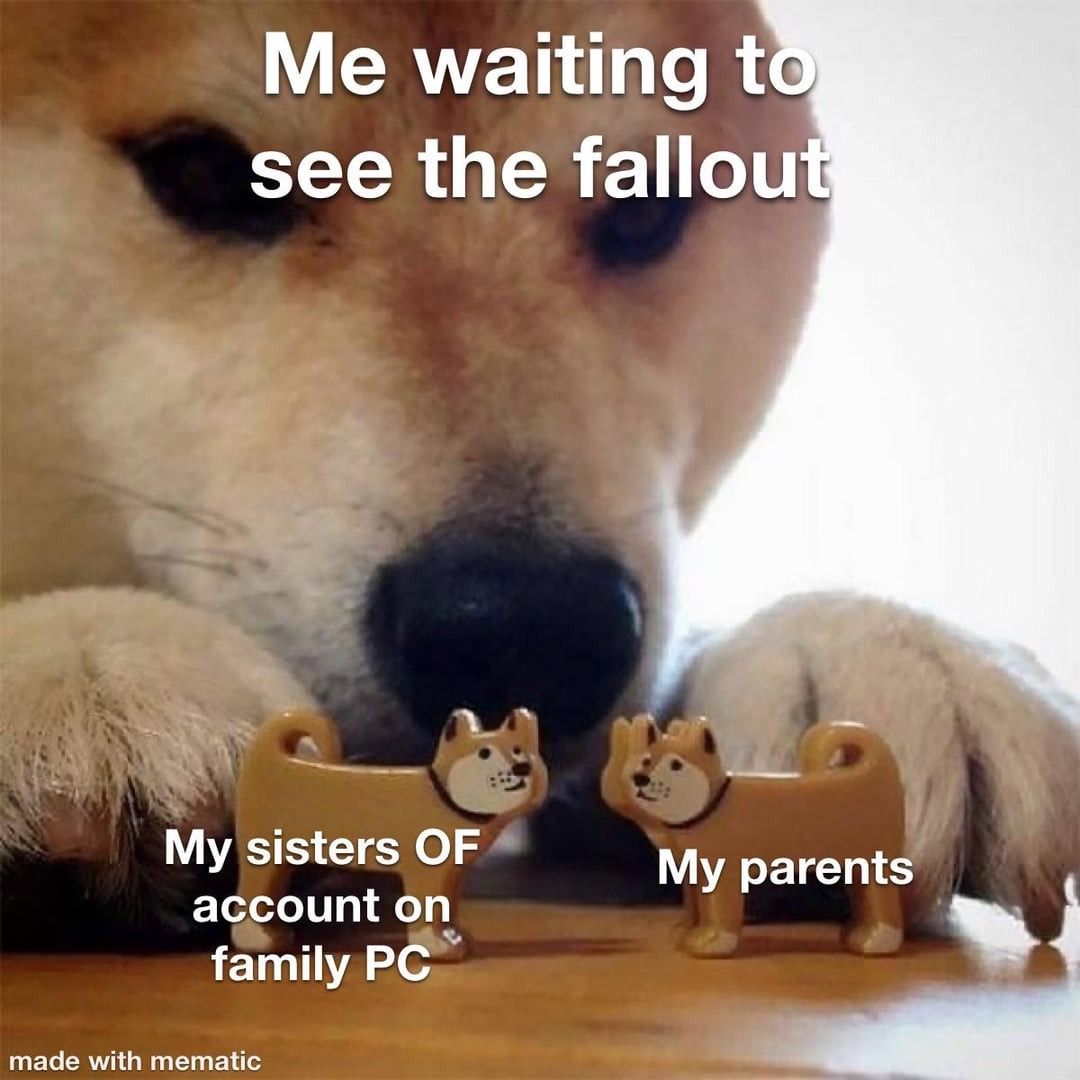 Fallout - meme