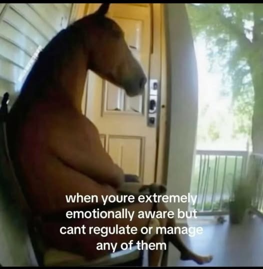 i've been through the desert on a horse with no name - meme