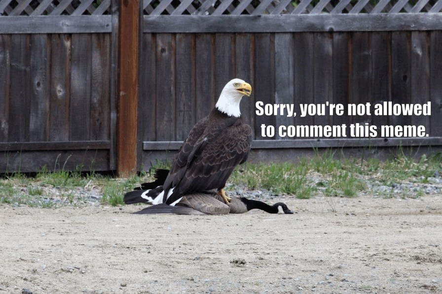 Posting memes since I'm not allowed to comment.
