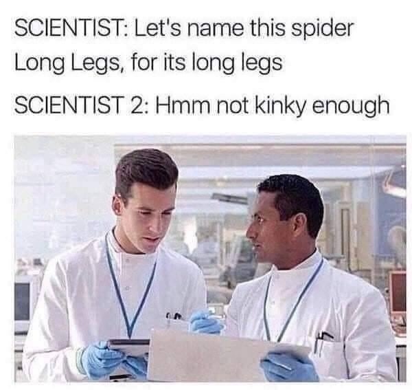Naming that spider Long Legs felt too PG - meme
