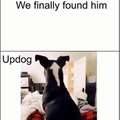 What's updog?