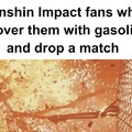 Only the Genshin fans tho