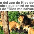 Malditos leones ateos!