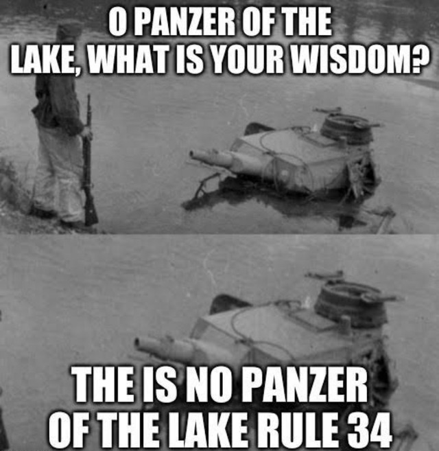 Panzer of the lake - meme