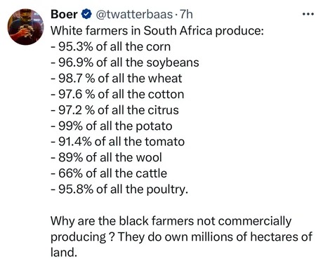 Interesting South Africa prodution stats - meme