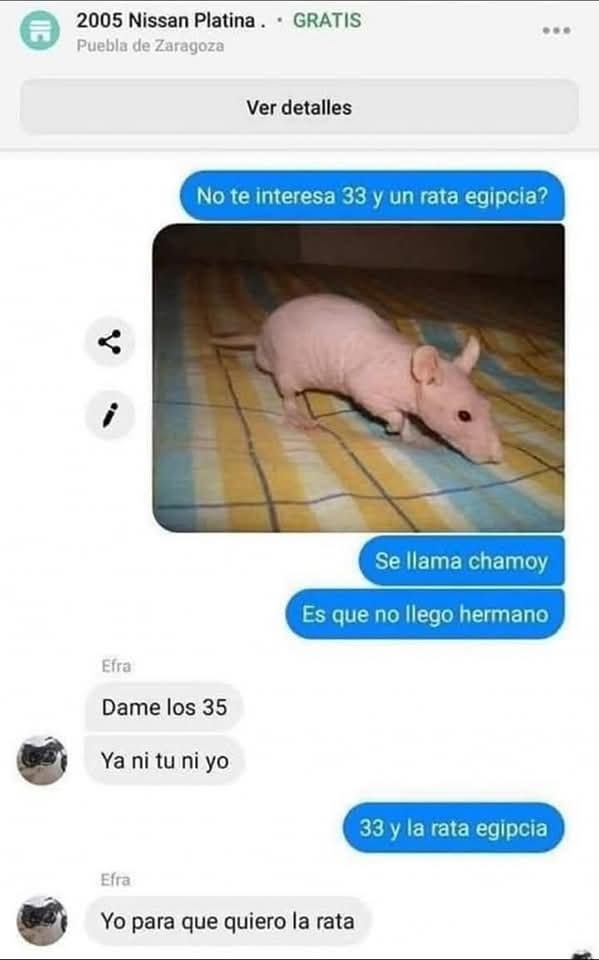 Yo para que quiero la rata? - meme