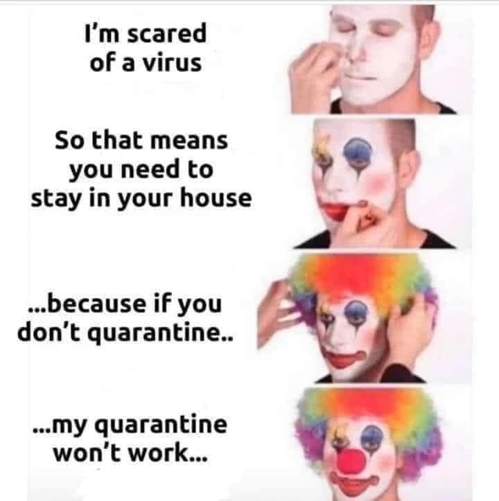 Your quarantine only works if I stay home? - meme