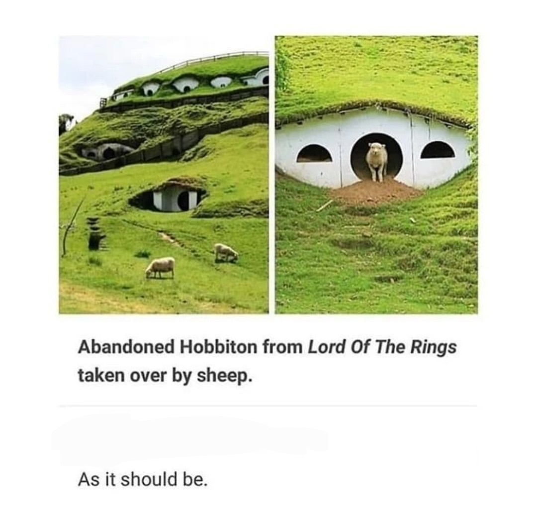 The hobbits moved out. Free real estate! - meme