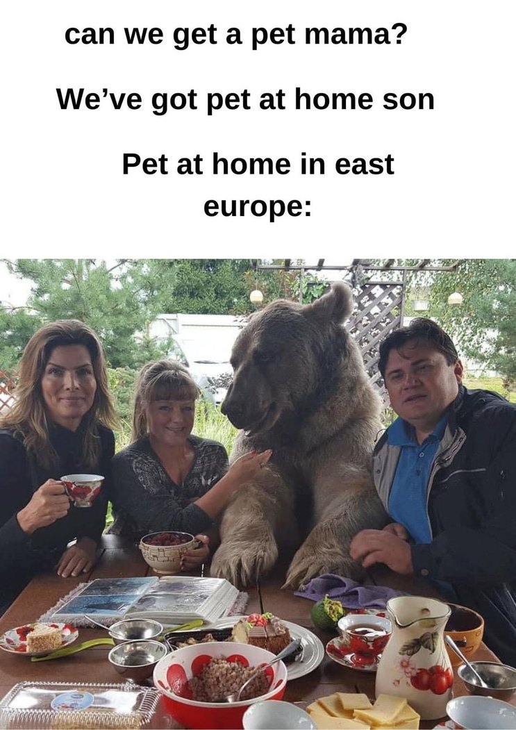 East Europe pet - meme