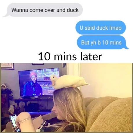 Quack. - meme